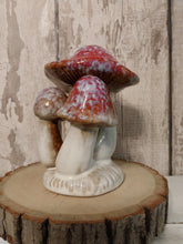 Load image into Gallery viewer, Magical mushroom cluster - Red
