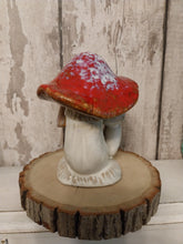Load image into Gallery viewer, Magical mushroom cluster - Red
