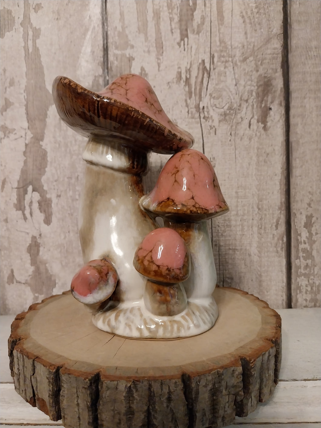 magical mushroom  cluster - Pink