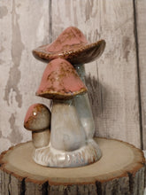 Load image into Gallery viewer, magical mushroom  cluster - Pink
