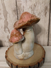 Load image into Gallery viewer, magical mushroom  cluster - Pink
