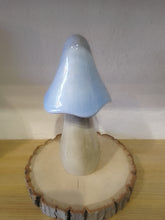 Load image into Gallery viewer, Tall large ceramic mushroom in pastel blue
