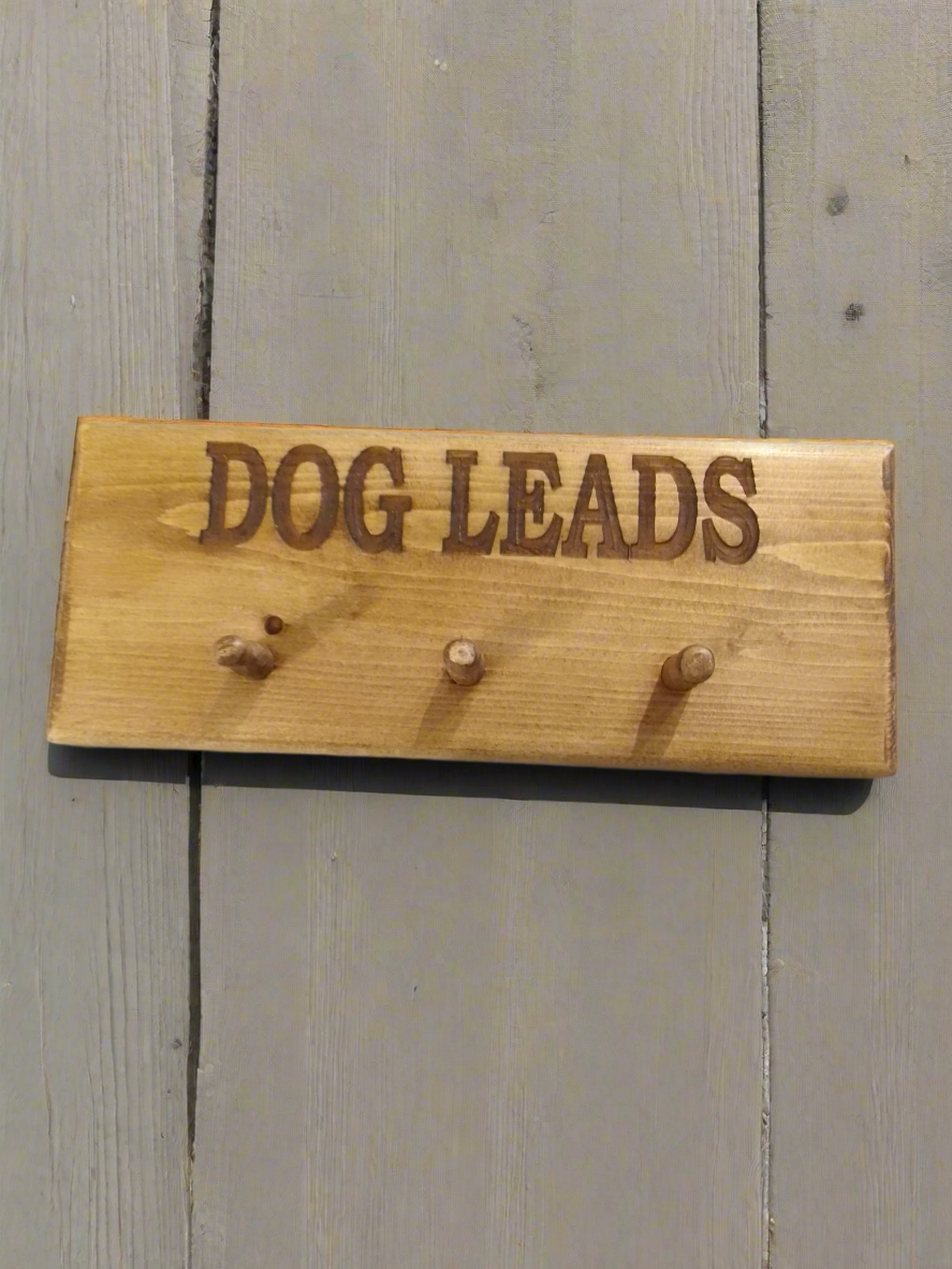 Dog lead holder