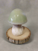 Load image into Gallery viewer, Large pastel green ceramic mushroom
