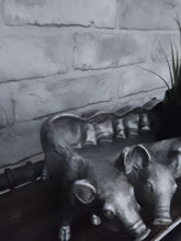 Load image into Gallery viewer, Pig planter

