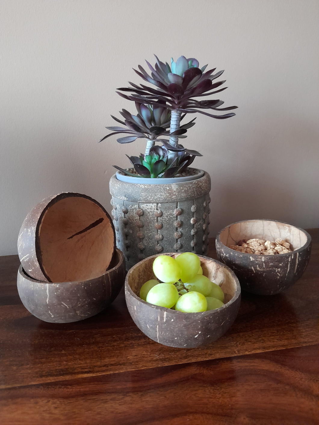 Natural coconut bowl