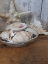 Load image into Gallery viewer, shell assortment in small basket
